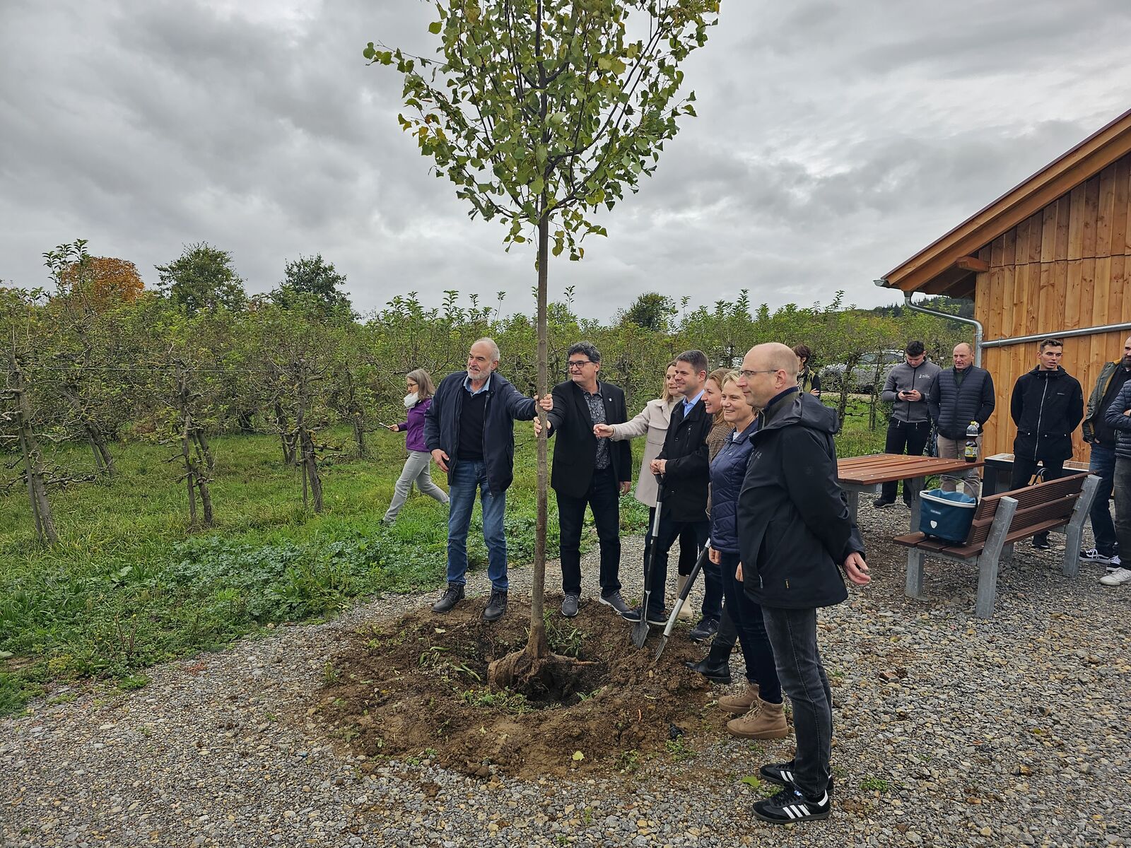 Für etwas mehr Schatten soll dieser frisch gepflanzte Baum sorgen.